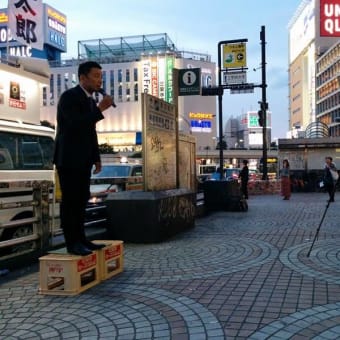 増山れな参議院選挙東京地方区社民党予定候補