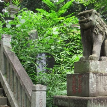 いよくの森の雷電神社