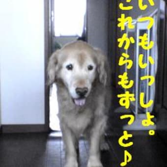 ロリ毛が