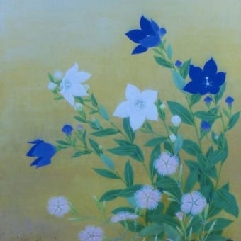 桔梗 - 楽描庵