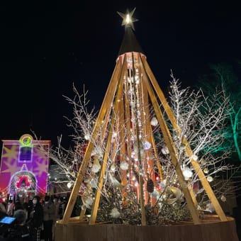 「ボタニカルクリスマス」と神戸の夜景✨🎄✨①