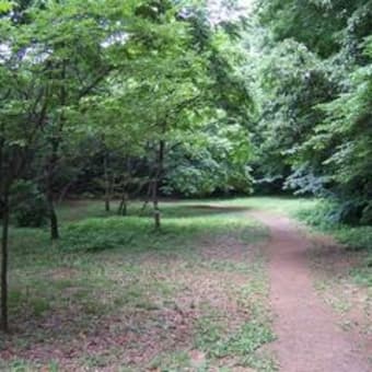武蔵野