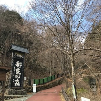 都民の森(22回目)～鶴峠～甲武トンネル