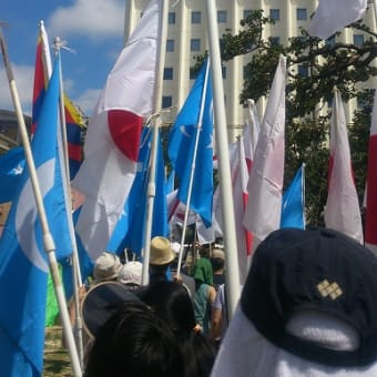 日の丸大行進in沖縄