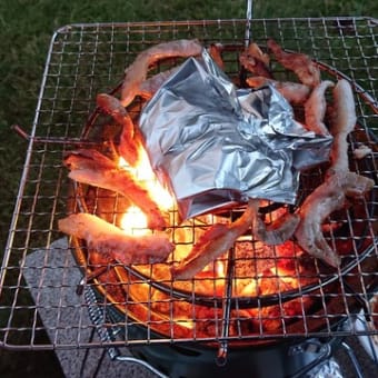 【ロックフィッシュ】アイナメを狙え！穴釣りガールの根魚釣りキャンプ♪