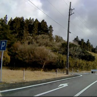 新春スカイラインドライブ