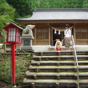 今年は亥年だからね