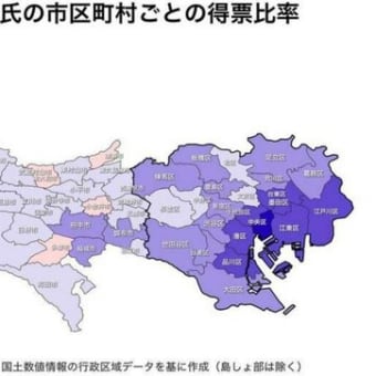 石丸伸二氏と蓮舫氏の２位争いを可視化、都市部で明暗分かれる 　東京都知事選の得票分析