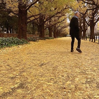 ♪　或る秋の日　佐野元春