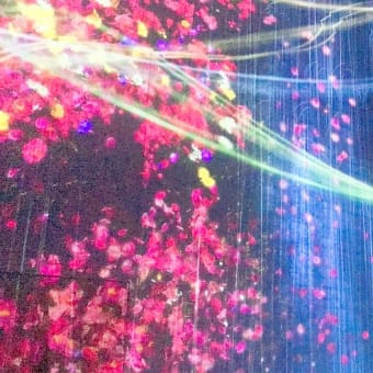 TeamLab〜Part1〜(2019年12月)
