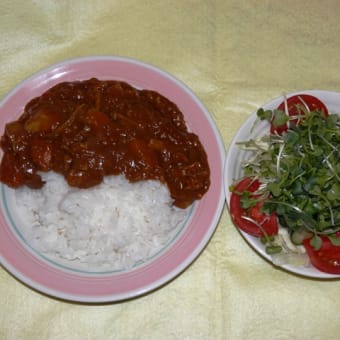バーミキュラで無水調理【カレー】