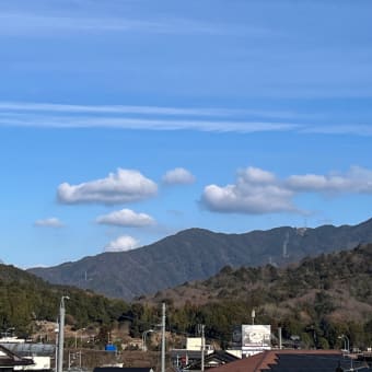 今日の1日(ハンテンと湯たんぽ)