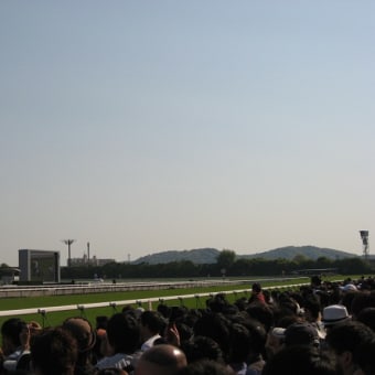レース回顧＆現地レポート：天皇賞（春）（2010）