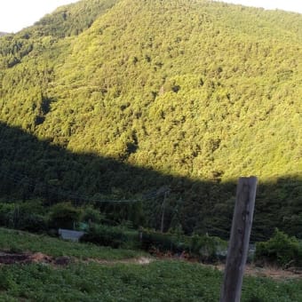 令和7年7月12日・今朝の東祖谷20℃（18.2℃）