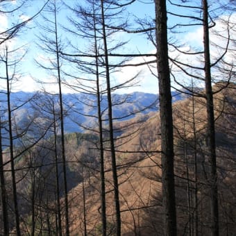 静寂な時を求めて南天山へ