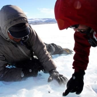 南極のお年玉、隕石４個発見