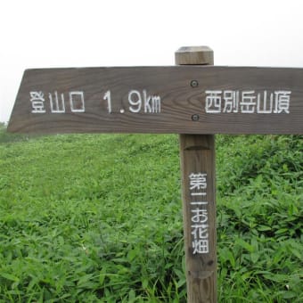 北海道最後の日、西別岳に登る　　　2011.07.25（1）.