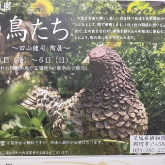 展示会、茨城県植物園展示室