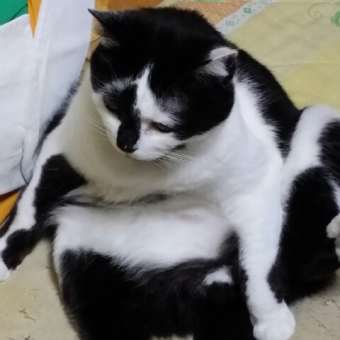 こんなで良いのか？