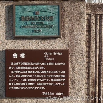 岡山県津山市・翁橋