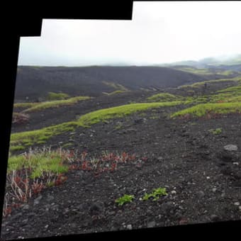 富士山に行ってきました。