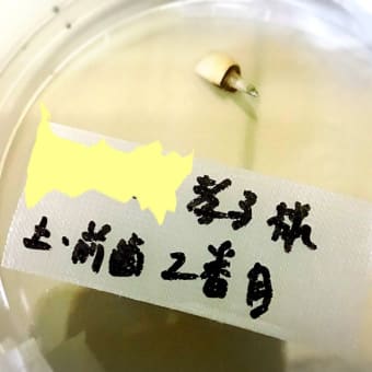 ビビったよ‼️