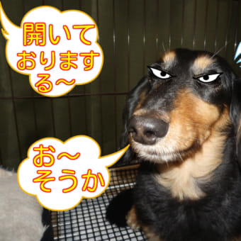 門を開け～い！！陽ざしを入れるのじゃ～～？