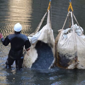 目黒川　巨大ゴミ?回収騒ぎで巨大クレーン回収の一部始終