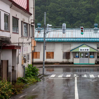 本日の写真