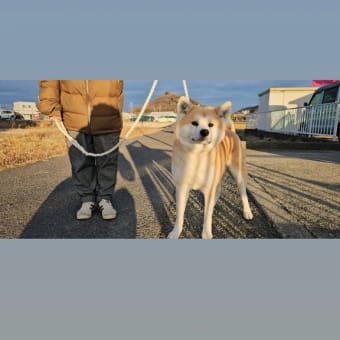 なっちゃん🐶 🐾いらっしゃい໒꒰ྀི∩˃ ᵕ ˂∩꒱ྀི১