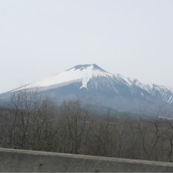 青森、来てます！