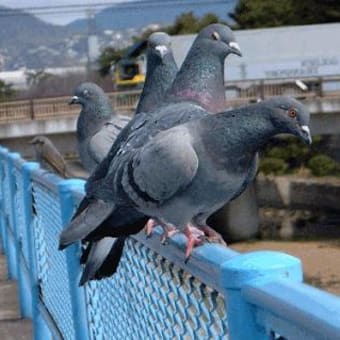 所詮介護はヒトかカネ　その４