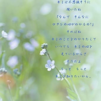 Photo　poem　-　キミのこと　-