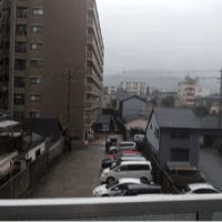 2025年6月11日（水）雨。