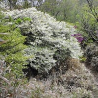 なんて美しい　この世界　Ⅱ