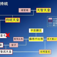 『天武と持統の不仲』『親蘇我』『反蘇我』『藤原氏天下』