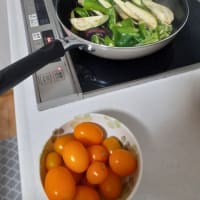 畑で今取れる野菜
