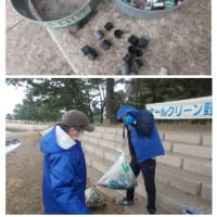 野島　アマモ場内生きもの調査・海浜清掃