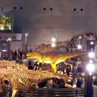 ５月２日　福井恐竜博物館　見物