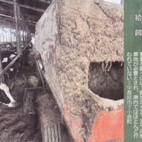 20110910下野新聞　栃木の現状　食の安全特集（３）　
