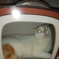 ちょっと狭いな！