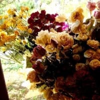 エネルギーと環境 296