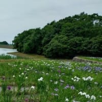 福山むつみ俳句会