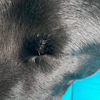 風薫る5月