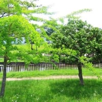 白鷺公園