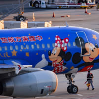 ミッキーマウス 特別塗装機 上海デズニーランドコラボ機 中国東方航空 エアバス A320-200. 関空初飛来?