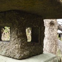 佛日庵の鎌倉石