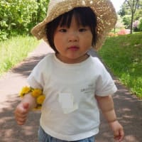 ちびっこ遊び隊！通信　2025年5月21日(水)旭山記念公園で「タンポポあそび」