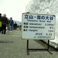 立山　雪の大谷
