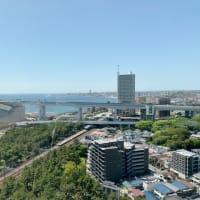 5月5日　海洋散骨